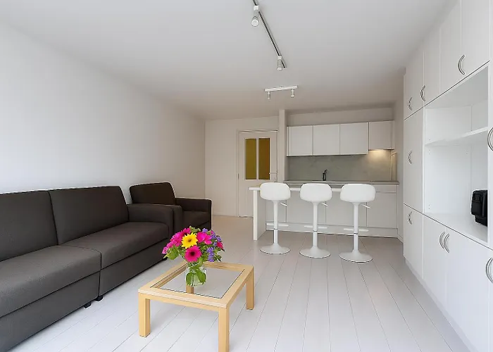 Chateau Maison Blanche *